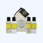 Travel Set Ginger and Lime