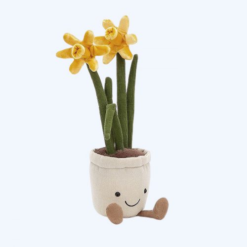 Amuseable Daffodil
