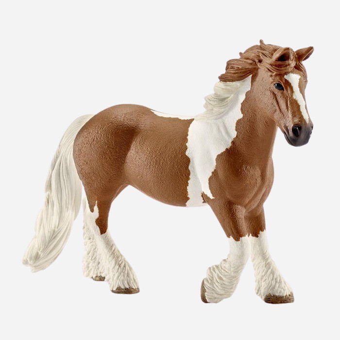 Tinker Mare