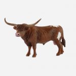 Texas Longhorn Bull
