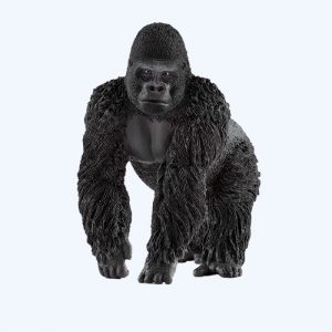 Gorilla Male