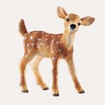 White Tailed Fawn