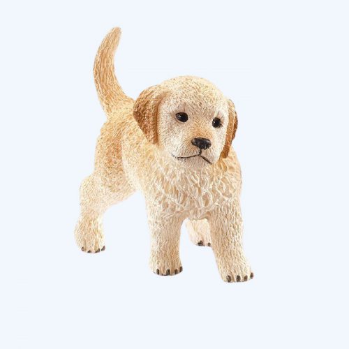Golden Retriever Puppy