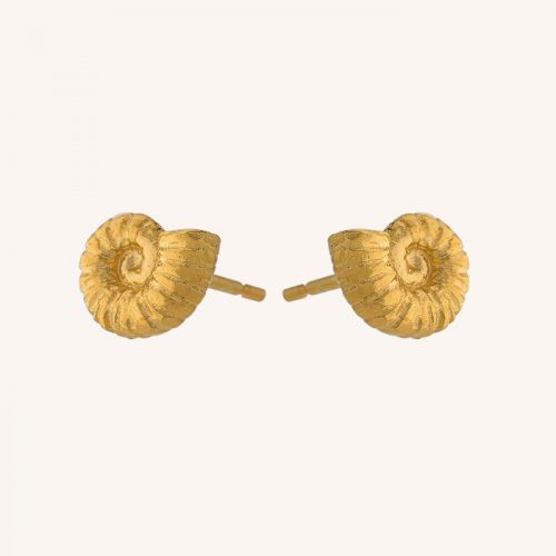 Ammonite Studs Gold - Image 2