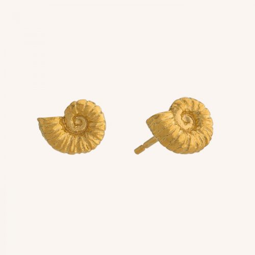 Ammonite Studs Gold - Image 4