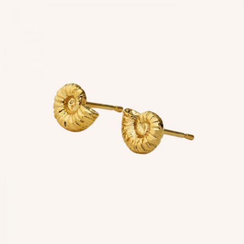 Ammonite Studs Gold - Image 3