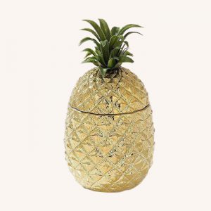 Pineapple Ice Bucket