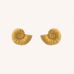 Ammonite Studs Gold