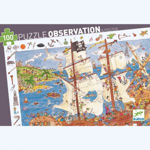 Pirates Observation Puzzle