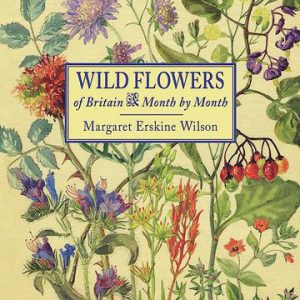 Wild Flowers by Margaret Erskine Wilson