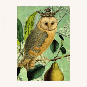 The Owl and The Pear Card