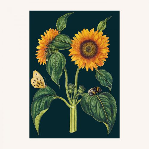 Sunflower Card