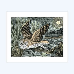 Marsh Owl Card
