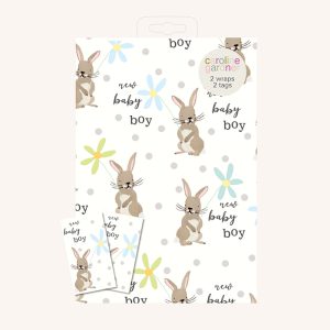 New Baby Boy Bunnies Gift Wrap & Tags Set