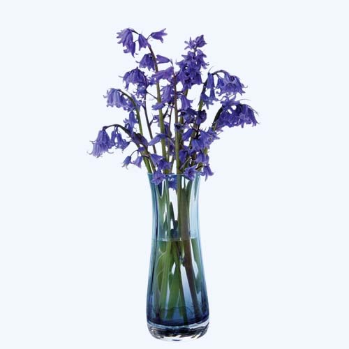 Florabundance Colours Bluebell Vase Ink Blue