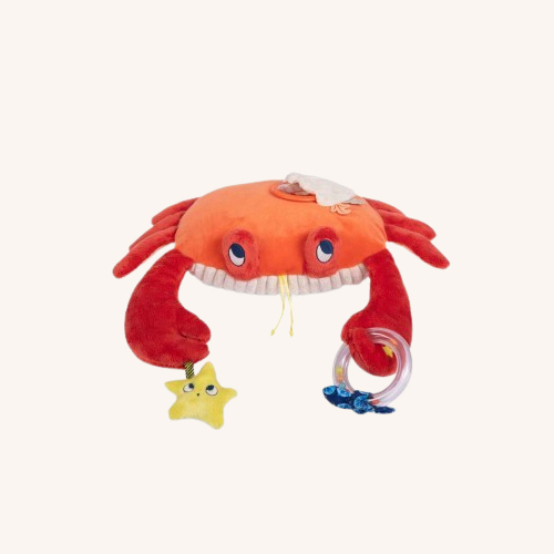 Large Activity Crab
