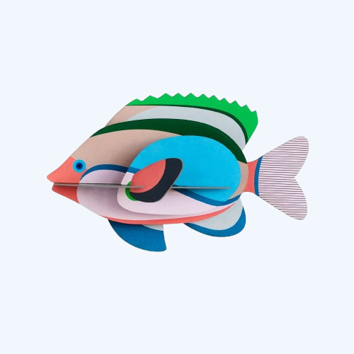 Wall Art Kit – Fairy Wrasse