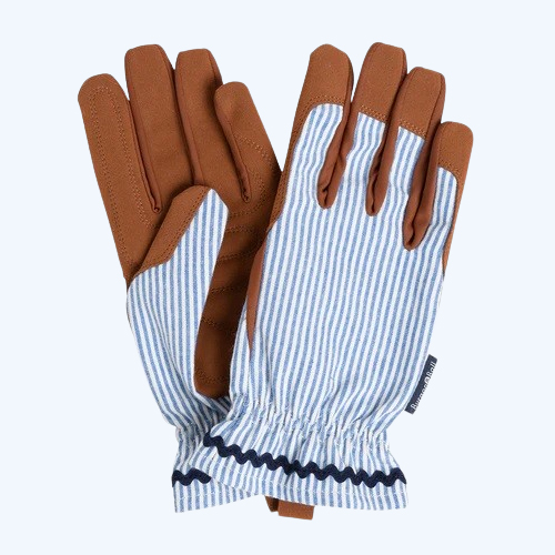 Colour Collection Gloves – Blue Stripe