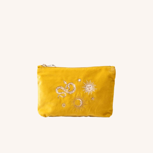 Alchemy Mustard Yellow Velvet Mini Pouch