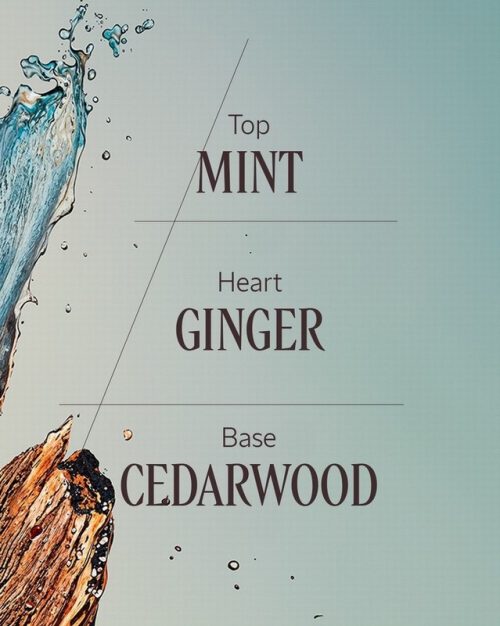 Cedre Gingembre EDT 50ml - Image 5