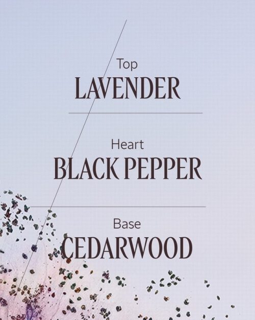 Lavande Poivre Noir EDT 50ml - Image 2