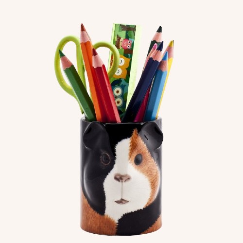 Guinea Pig Pencil Pot Multi