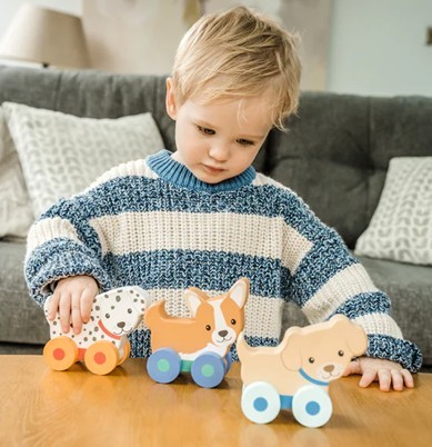 Puppy Push Toys - Image 2