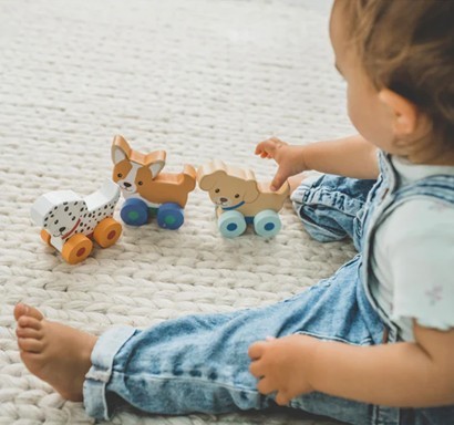 Puppy Push Toys - Image 3