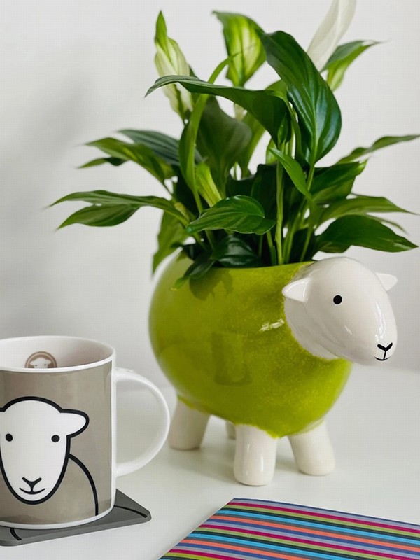 Stoneware Sheep Planter - Green - Image 3