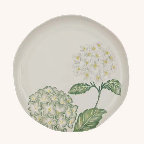 Platter Hydrangea