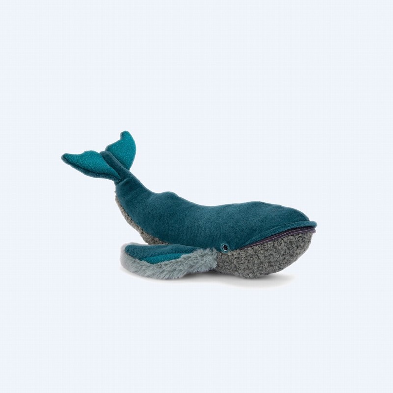 Small Whale